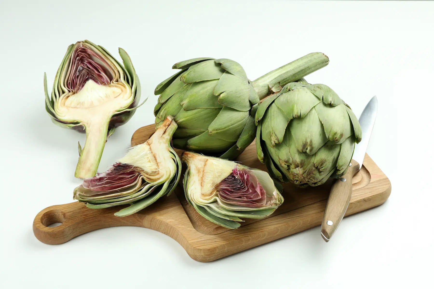 Can dogs 2025 have artichokes