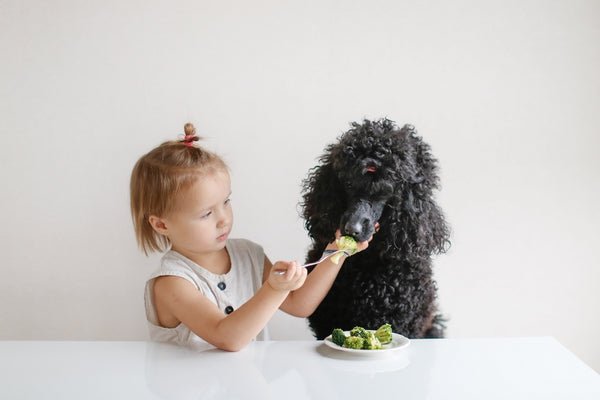 Cute kid girl with a dog eating broccoli.