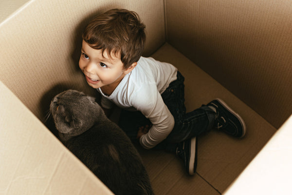 Little Boy Playing With Cat in Cardboard Box