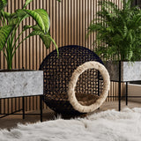 Give  your kitty a cat cave bed, wicker cat bed, or a luxury cat bed. Your feline friend will thank you!