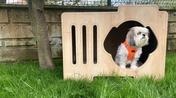 White cute crate trained dog is sitting on her wooden dog crate