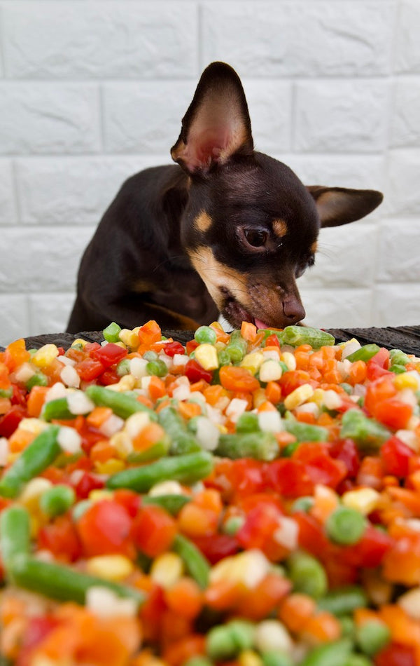 Dog eating vegetables