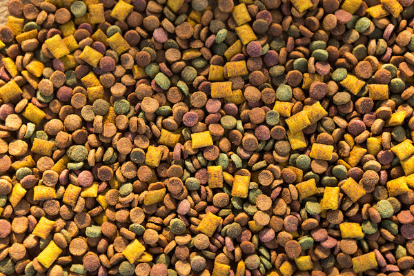 Dry food for cats and dogs close - up-a background of round pellets and pillows