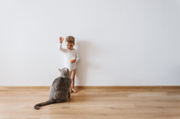 little toddler boy in white bodysuit with cookies and grey cat at home