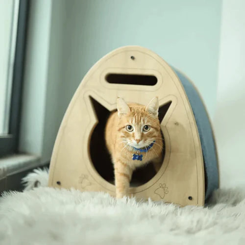 A cute cat comes out of a wooden cat scratch house