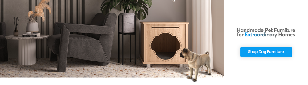 Dog Furniture