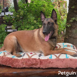 Etna Orthopedic Dog Bed