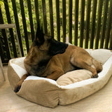 The Paris Calming Dog Bed is a large and vibrant dog bed that will make your dog feel like they are sleeping on a cloud. 