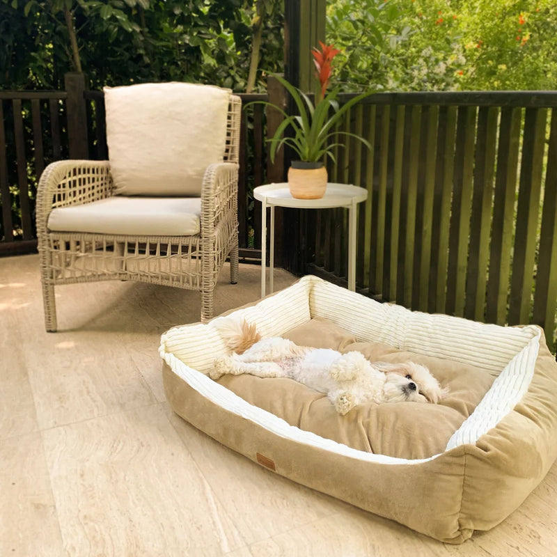 This Paris Calming Dog Bed is the perfect solution for your dog. It is made with a soft, cozy and light-weight fabric that is easy to clean.