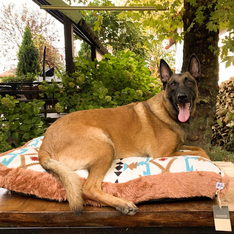 The Etna orthopedic dog bed provides the perfect place for your pup to rest.