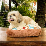 The Etna Orthopedic Dog Bed is a washable, orthopedic dog bed that will keep your pup happy and healthy.