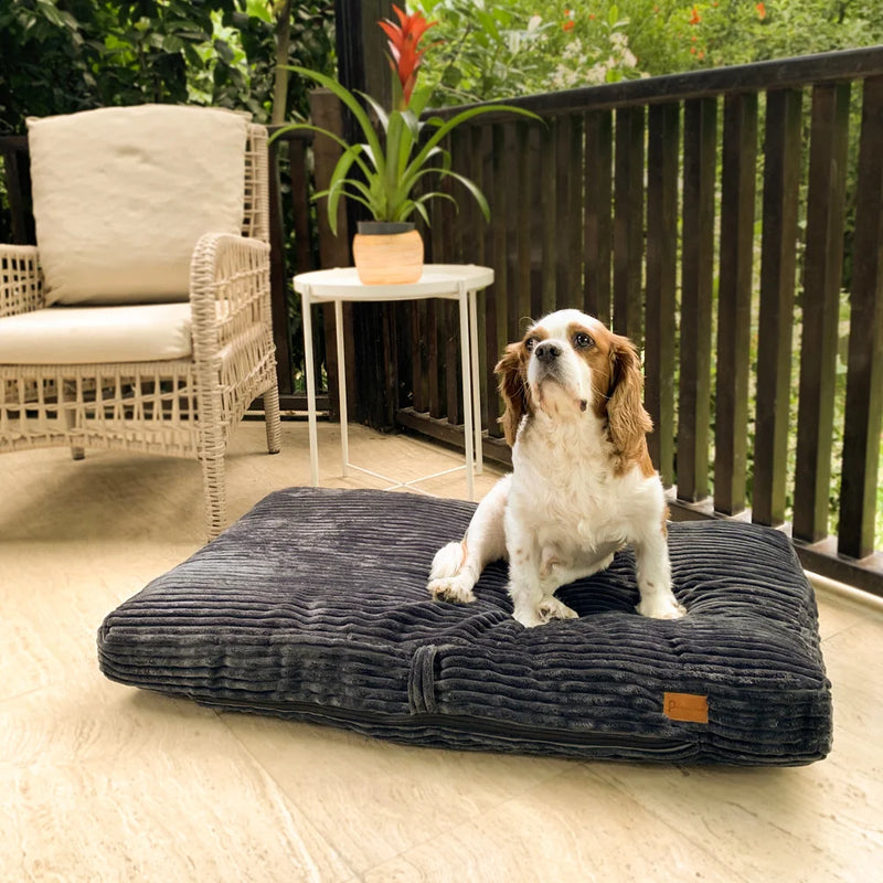 The Monaco orthopedic dog bed is the best dog bed to give your fur-baby comfort and support. 