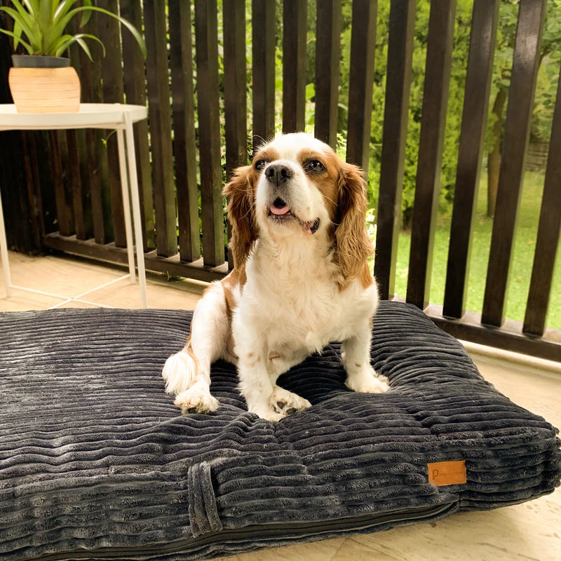 Our Orthopedic Dog Bed is made with high-quality memory foam and a luxurious faux fur cover. COOL: Waterproof and machine washable cover.