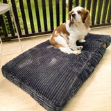 Ultimate Dog Bed provides the most comfortable dog beds for your pet. These orthopedic dog beds are perfect for medium, large, and extra-large dogs.