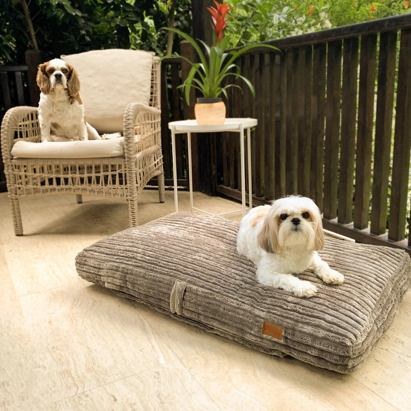 If you're looking for a dog bed that's large enough for your pet, looks stylish in any room, and will last years of abuse, then the Monaco Orthopedic Dog Bed is what you need.