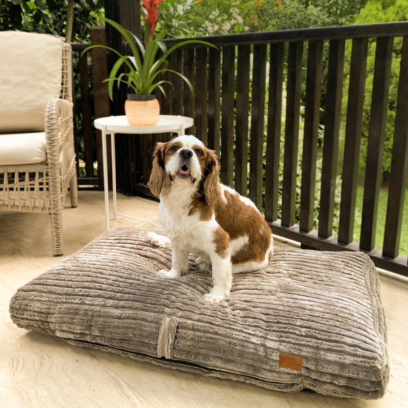 Monaco Orthopedic Dog Bed is a bed for all dogs - every dog deserves a best friend! This is the most comfortable orthopedic dog bed in the world.