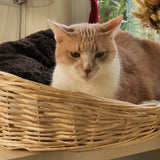 The Petguin Wicker Cat Bed is a luxury bed that is made of 100% natural materials. It has a beautiful woven wicker design and a soft cushioning layer to make your pet feel at home.