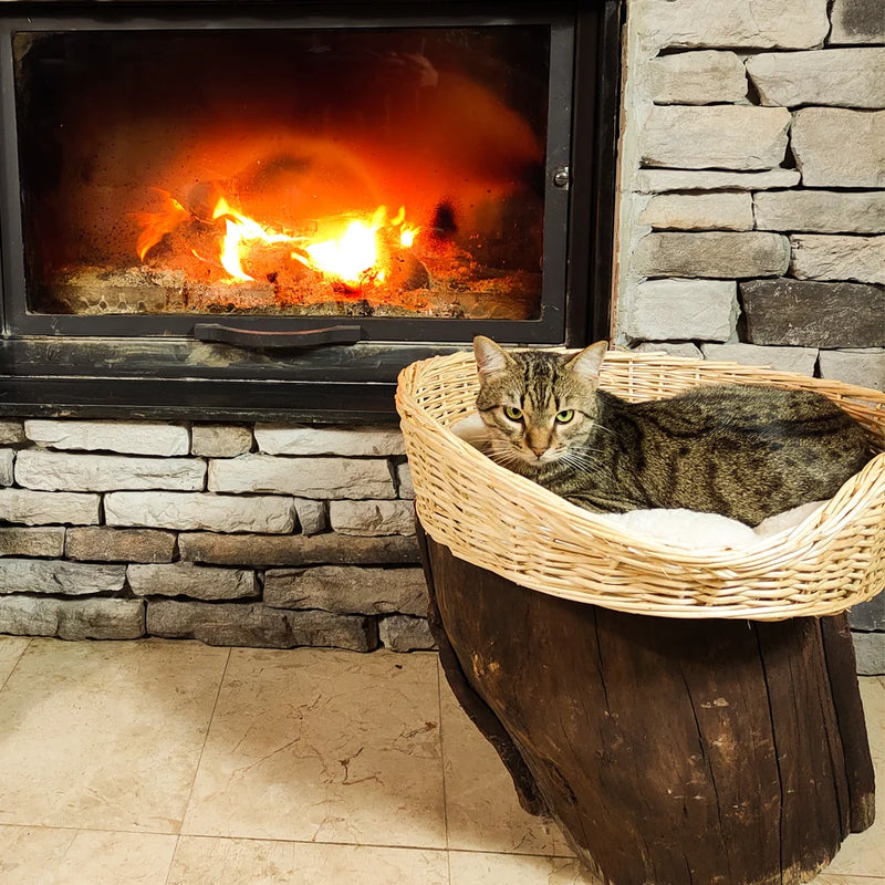 Our Petguin Wicker Cat Bed is a natural design, made from 100% wicker, which is durable and weather resistant. It's a great way to keep your cat happy and healthy.
