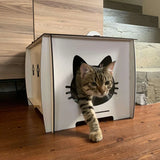 A cardboard cat house is a perfect solution for an indoor cat. They provide a place to call their own.