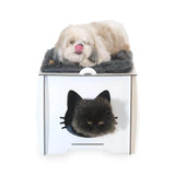 A cardboard cat house is an easy way to provide your pet with a warm, safe, and dry place to sleep indoors.