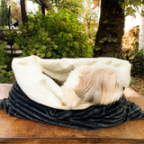 This washable cozy cave dog bed is made from a plush cotton blend with a velvet finish that will keep your pet warm.