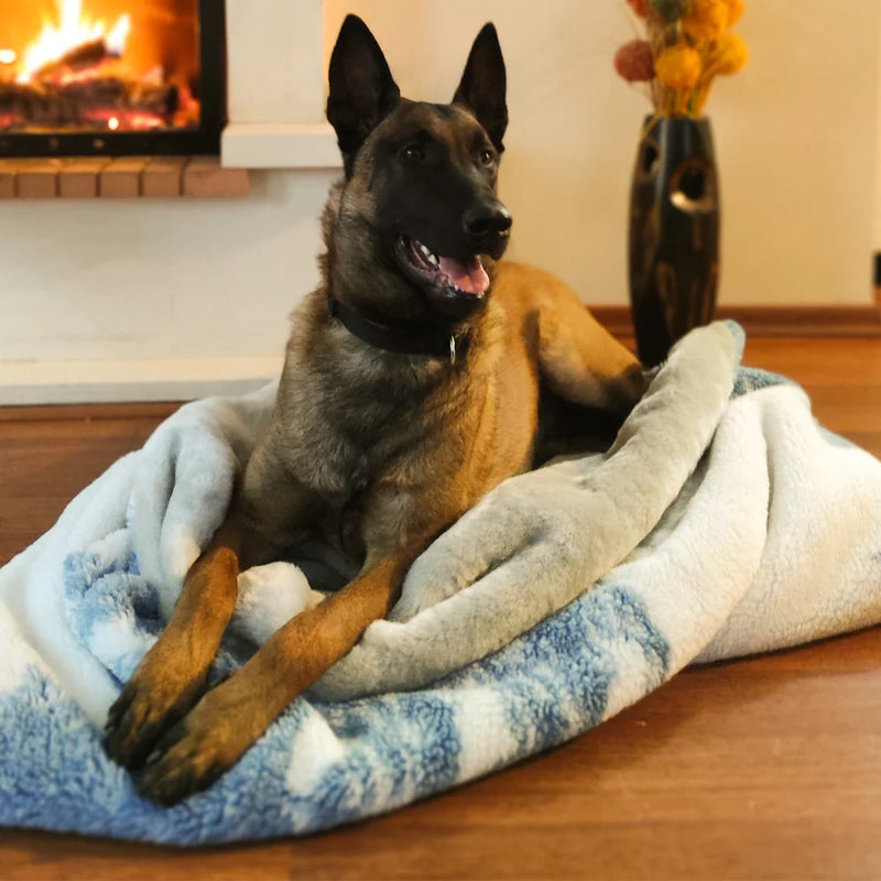 This is a Cozy Cave Dog Bed that is perfect for your pet. It comes in two sizes, large and extra large. The bed is made of high-quality materials and offers a comfortable place to sleep for your dog.