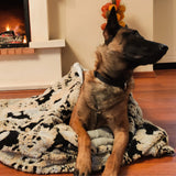 Vienna Cozy Cave Dog Bed is a cute and warm dog bed, with faux fur and a cave-like design. It can be used indoors or outdoors, and it's perfect for your dog's home.