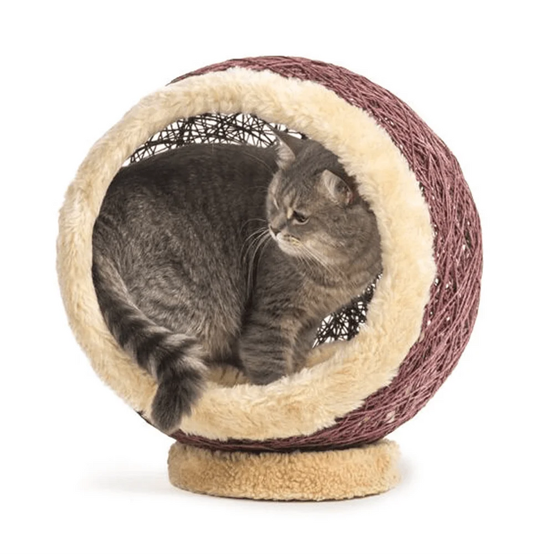 From cat cave beds to wicker cat beds, we have all your furry friends needs covered.