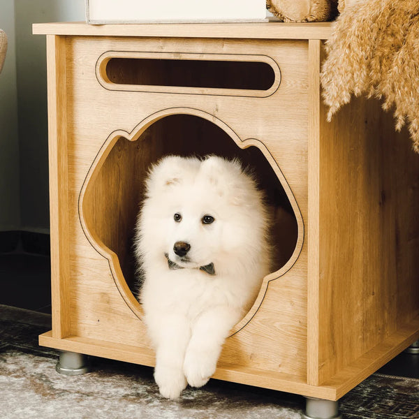 Foxie Modern Dog House is a small, indoor dog house that is perfect for pets who are home alone during the day.