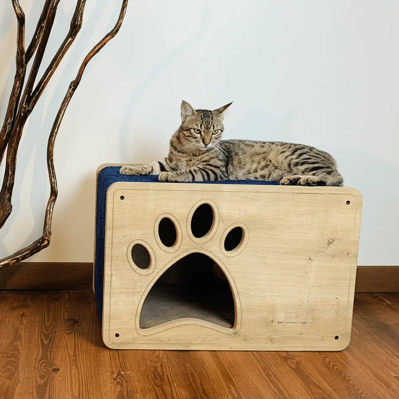Luna Cat Bunk Beds are the perfect solution for cat parents with limited space. They're a functional and stylish alternative to traditional cat trees. Cats love sleeping together - now they can in a cozy, private bunk bed!