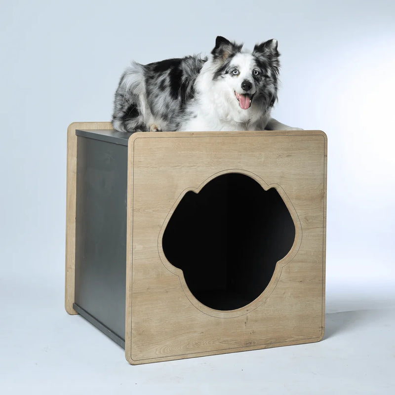Mateo Insulated Dog Houses was designed by architects in the heart of Chicago to provide your pet with a spacious, comfortable and safe home.