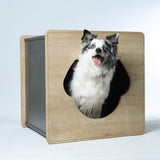 Discover the perfect dog house for your pet. Mateo Insulated Dog Houses are made for eco-friendly living, with a variety of styles and insulation levels to meet your needs.