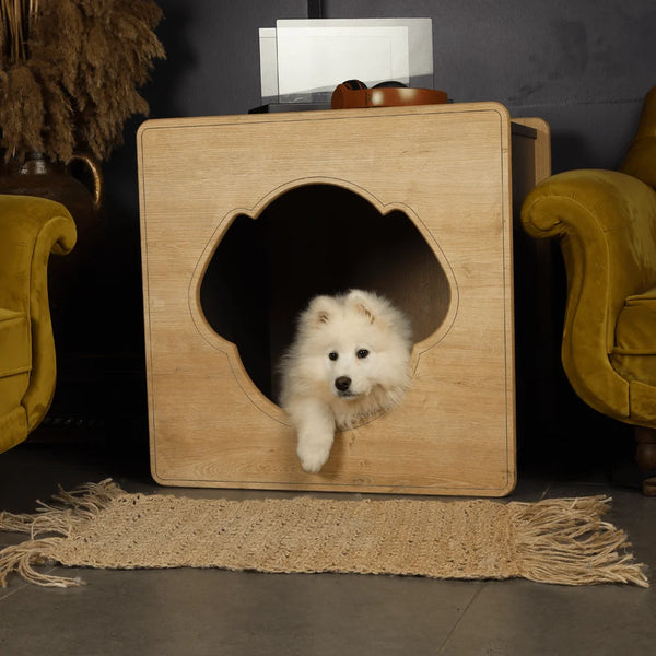 Mateo Insulated Dog Houses is a pet house company that builds beautiful dog houses with porches and ramps. 