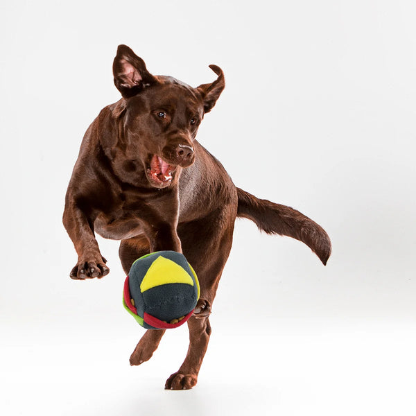 Interactive Dog Toys – Slow Feeder Treat Dispensing Dog Toys - Petguin